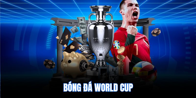 Bóng đá World Cup